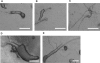 <b>Figure 3</b>