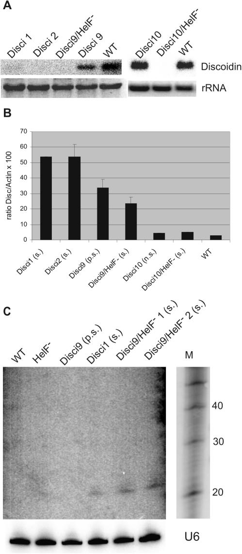 Figure 9