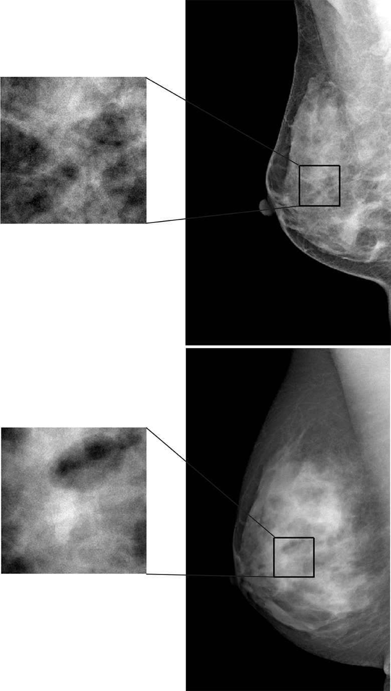 Figure 2a: