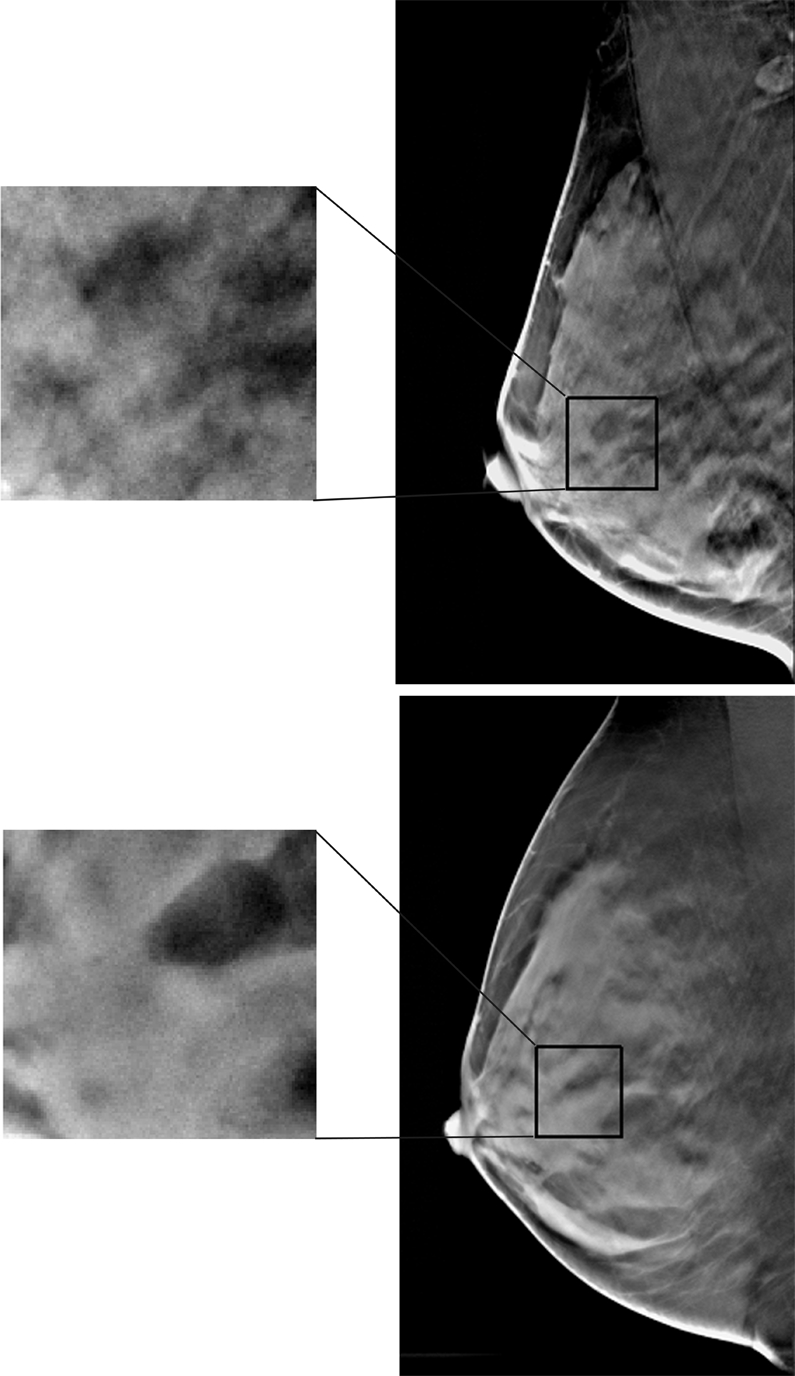 Figure 2b: