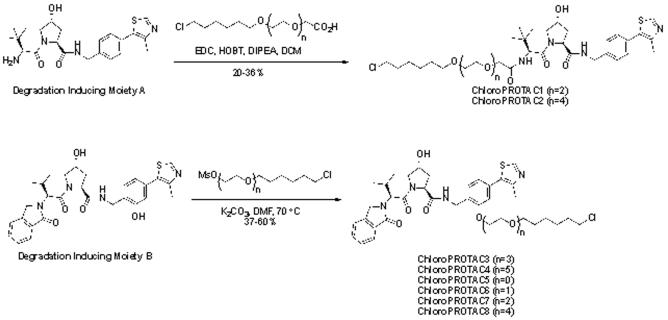 Scheme 1