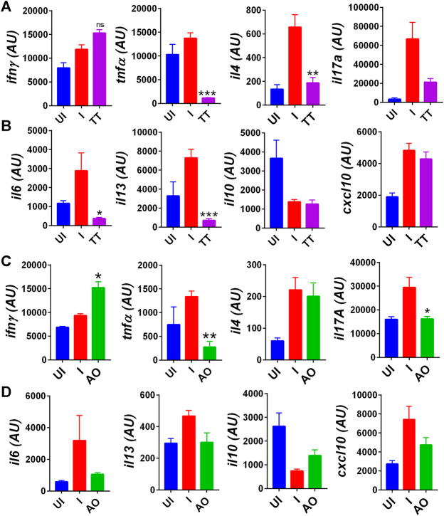 FIGURE 4