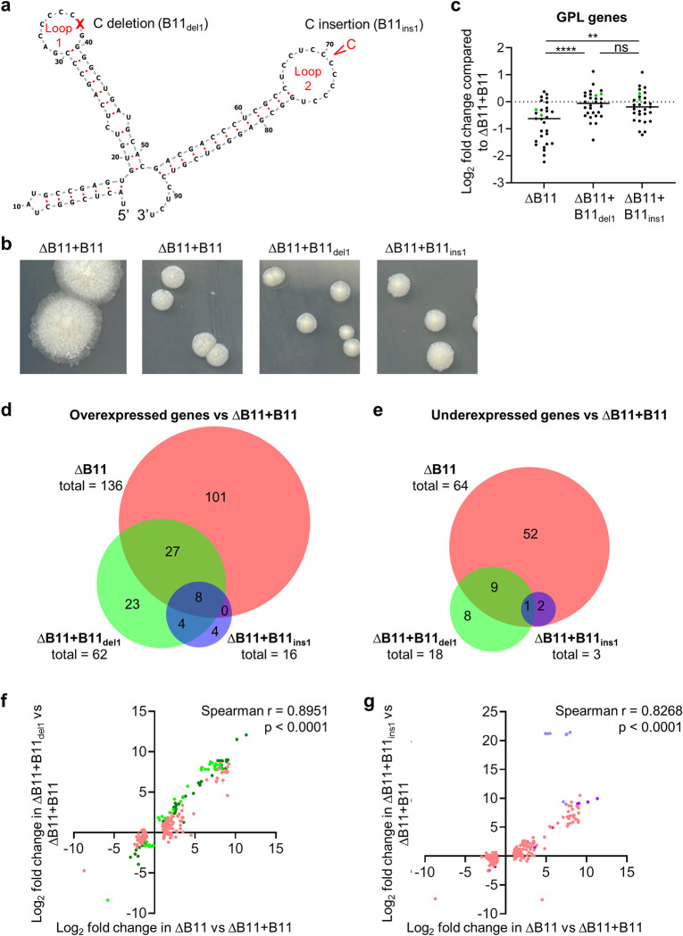 Fig 6