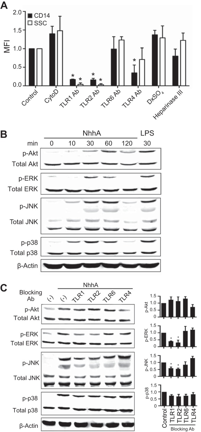 FIG 2 