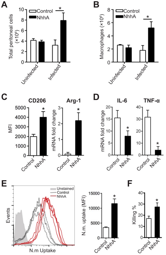 FIG 6 