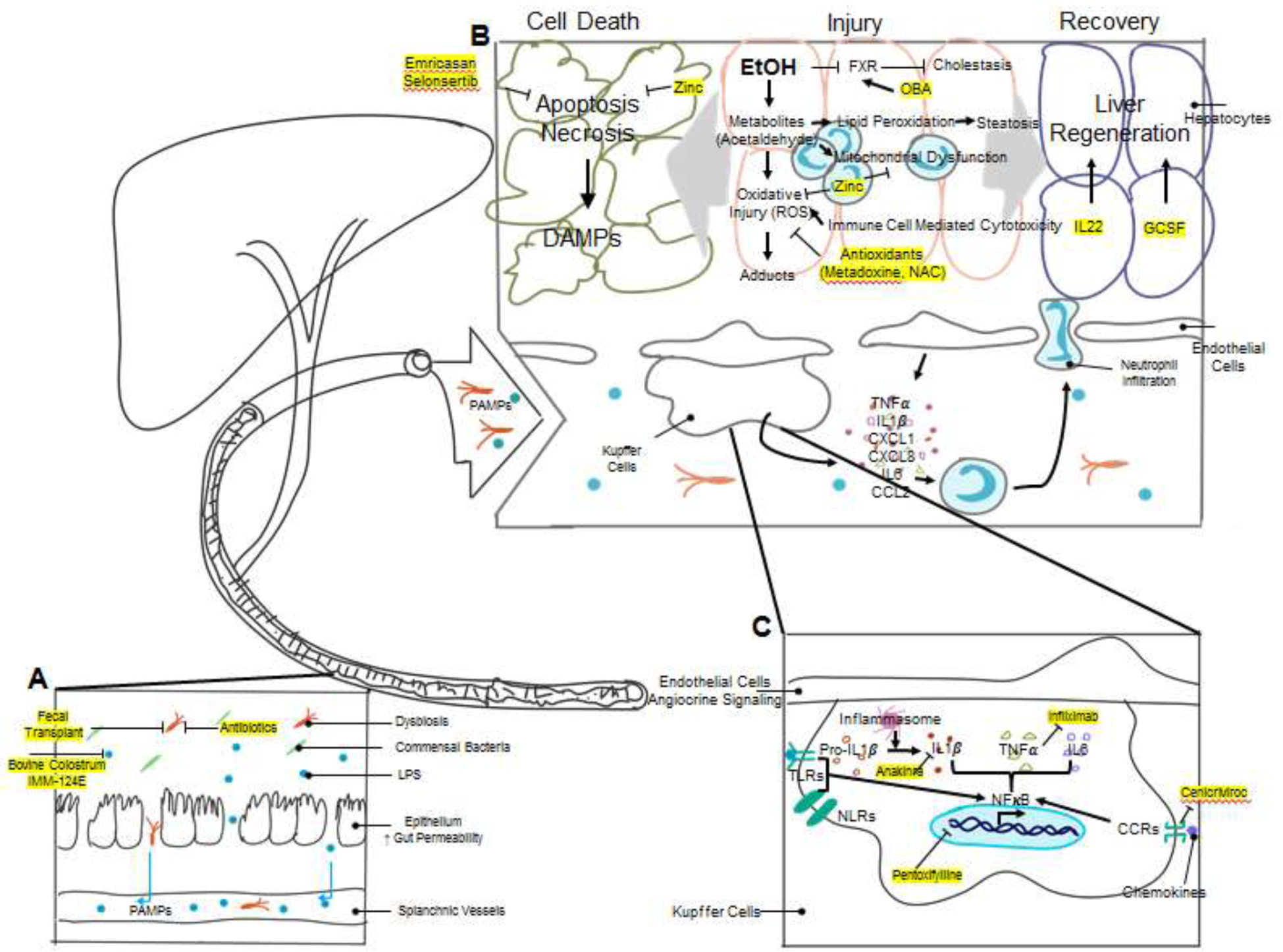 Figure 1: