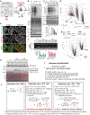 Extended Data Fig. 11 |