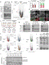 Extended Data Fig. 9 |