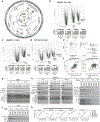 Extended Data Fig. 1 |