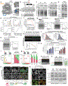 Extended Data Fig. 2 |