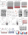 Extended Data Fig. 7 |