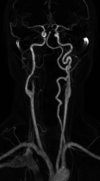 Fig 6.