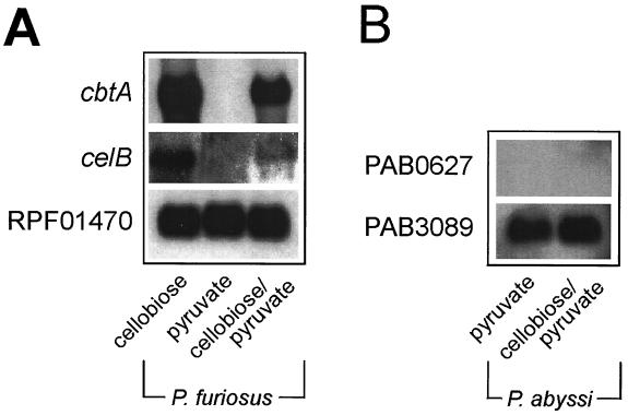 FIG. 5