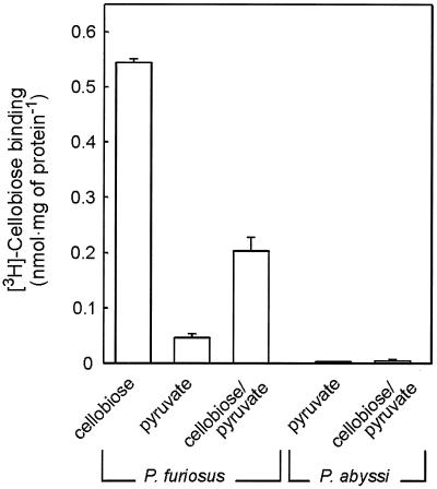 FIG. 6