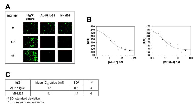 Fig. 6