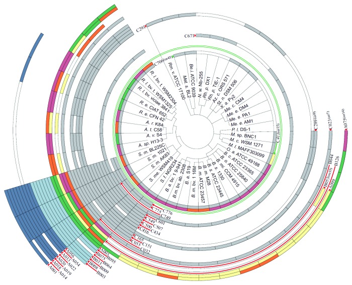 graphic file with name rna-11-550-g3.jpg