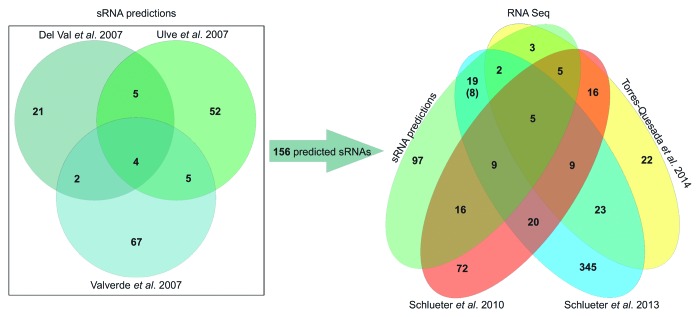 graphic file with name rna-11-550-g1.jpg