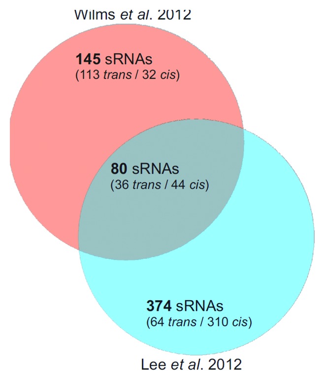 graphic file with name rna-11-550-g2.jpg