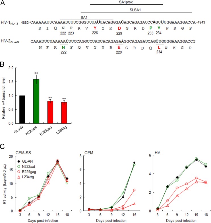 FIG 3