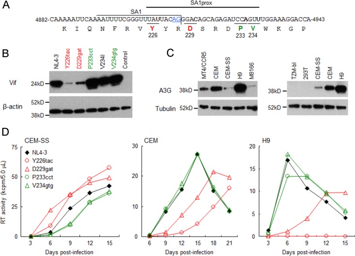 FIG 2