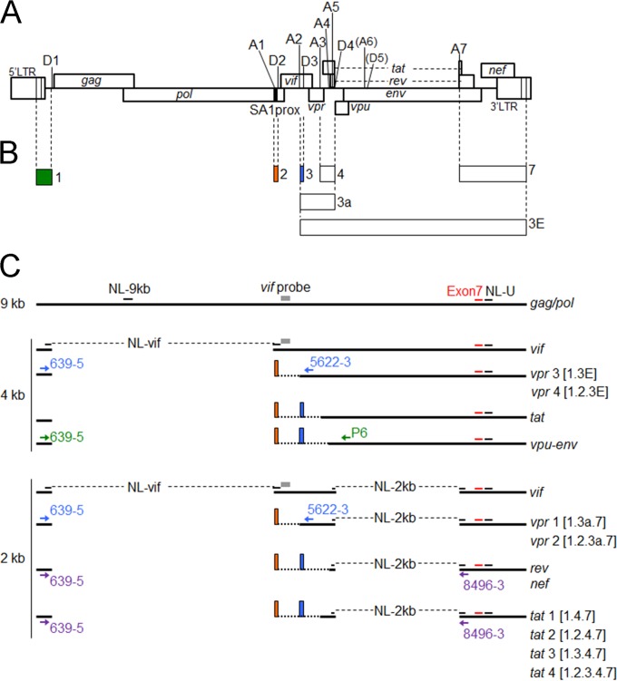 FIG 1