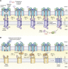 Figure 5