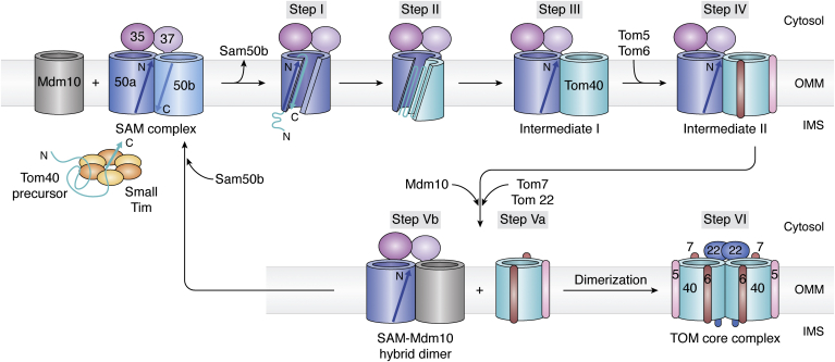 Figure 2