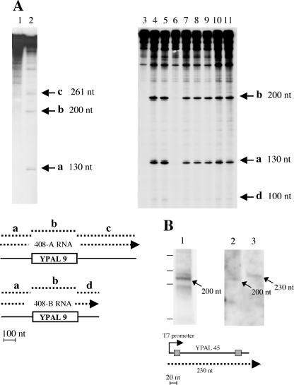 FIG. 6.