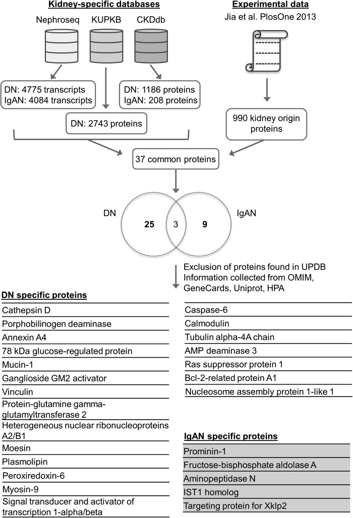 Fig. 2.