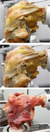Fig. 2