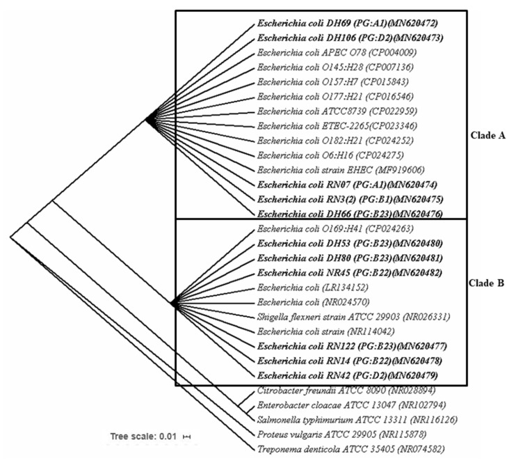 Figure 6