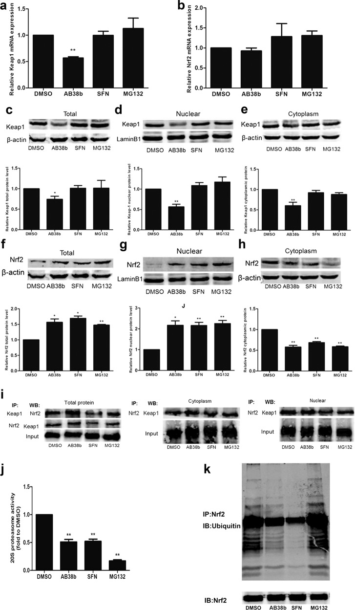 Fig. 9