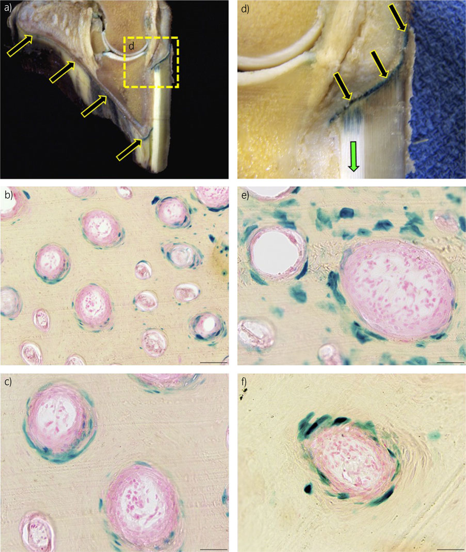 Fig 4: