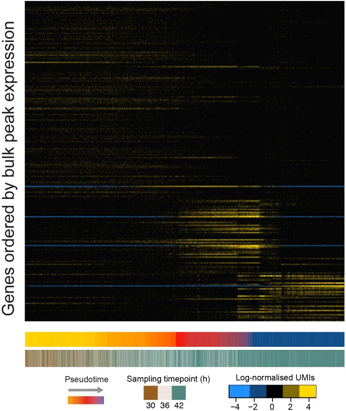 Figure 4—figure supplement 3.