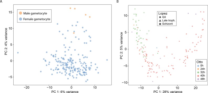 Figure 3—figure supplement 2.