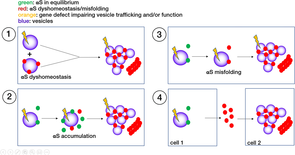 Fig. 4: