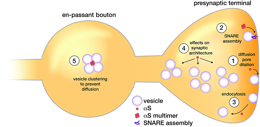 Fig. 2: