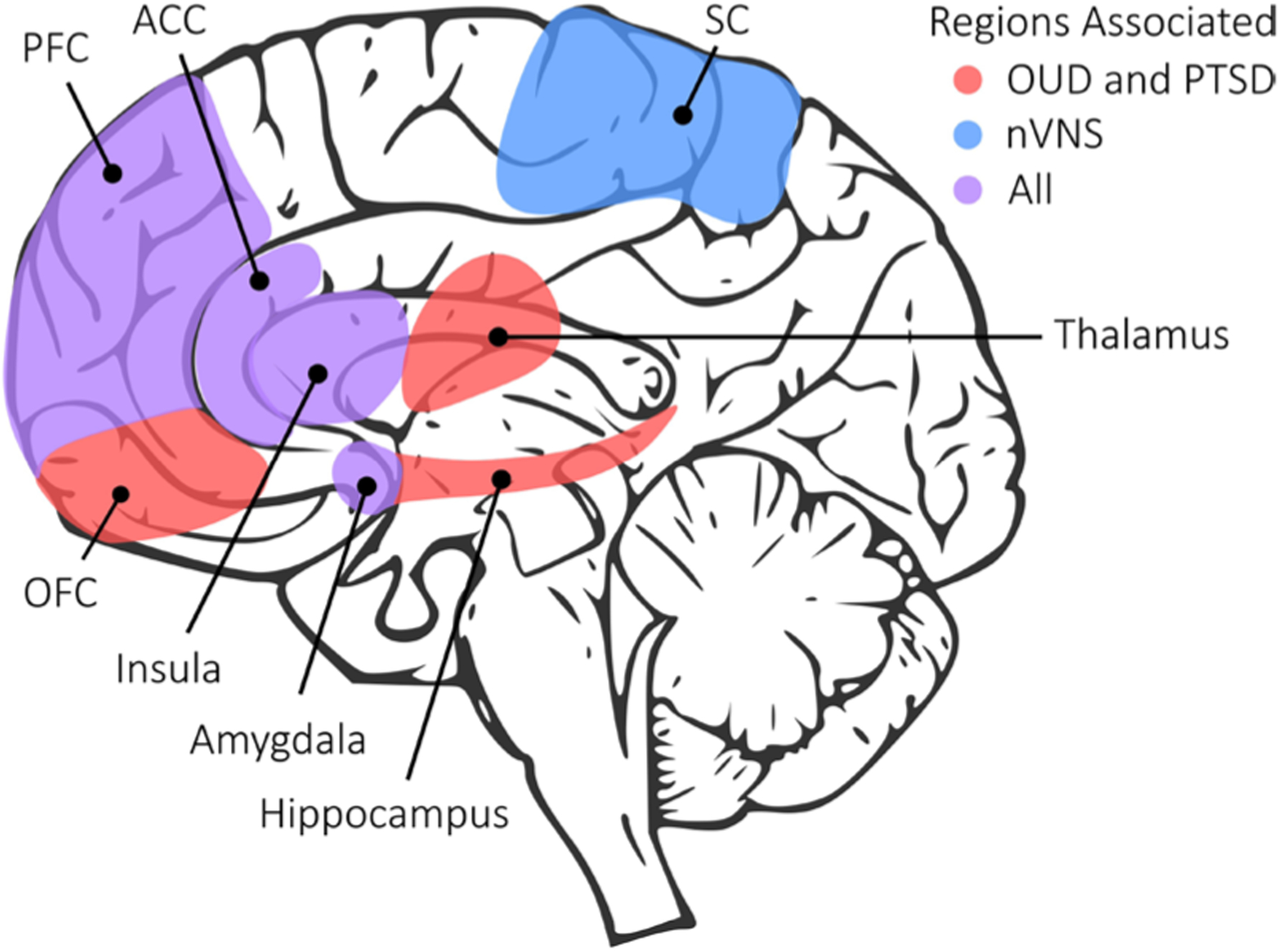 Figure 1: