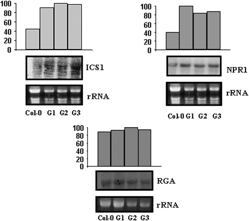 Figure 6.