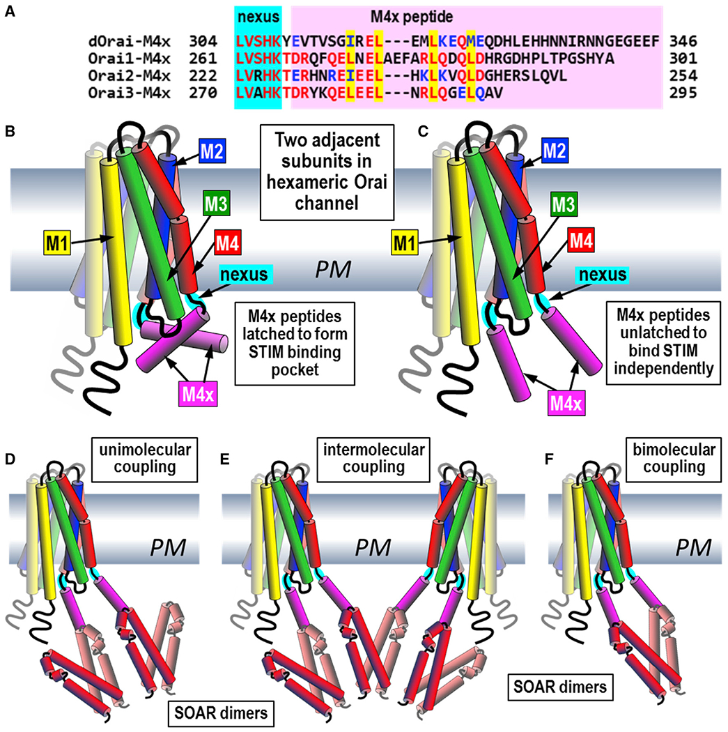 Figure 7.