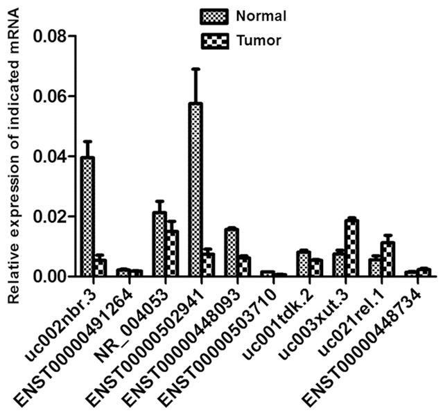 Figure 5