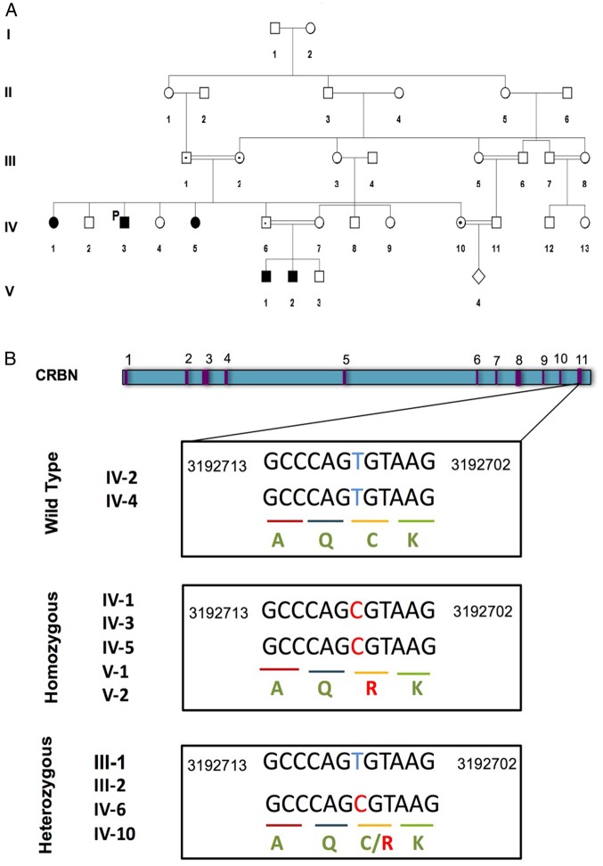 Figure 1