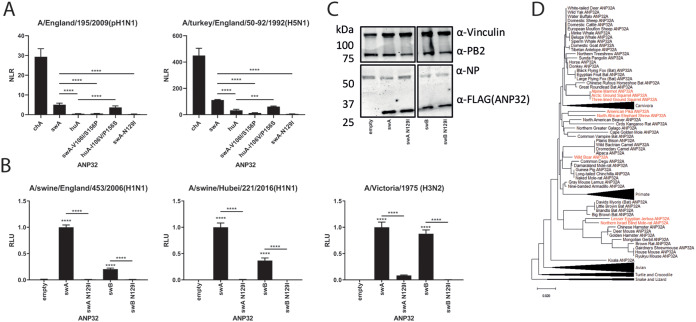 FIG 6