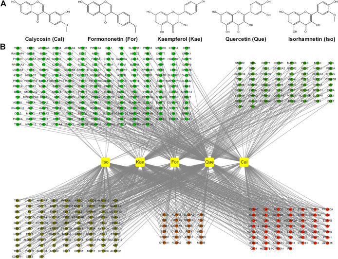 FIGURE 2