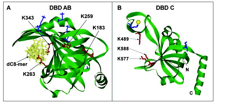 Figure 6: