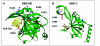 F<sc>igure</sc> 6: