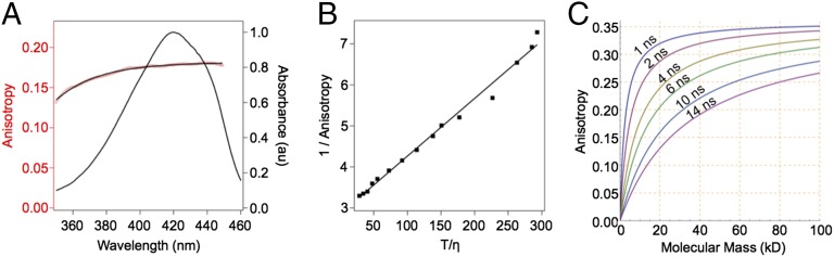 Fig. 2.