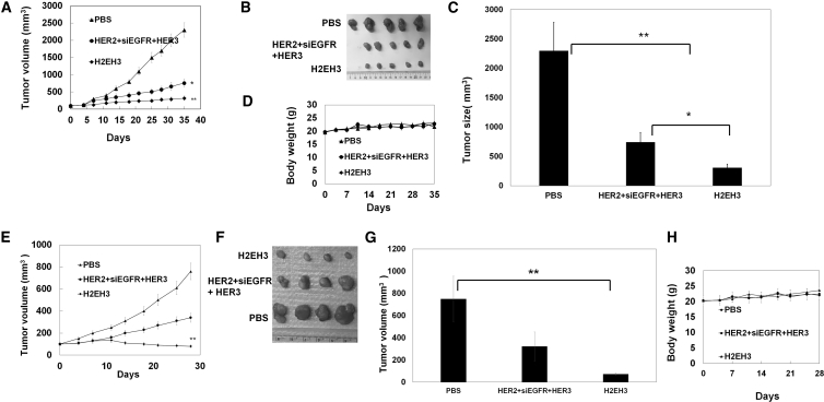 Figure 5