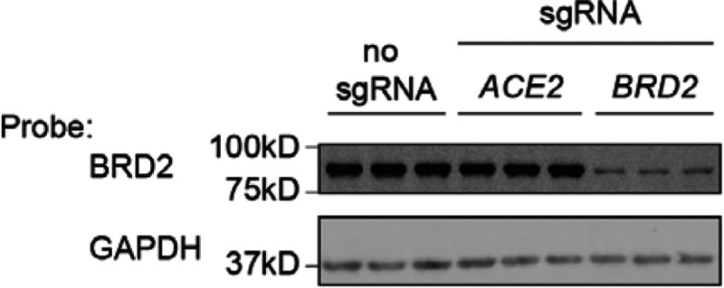 Extended Data Figure 2: