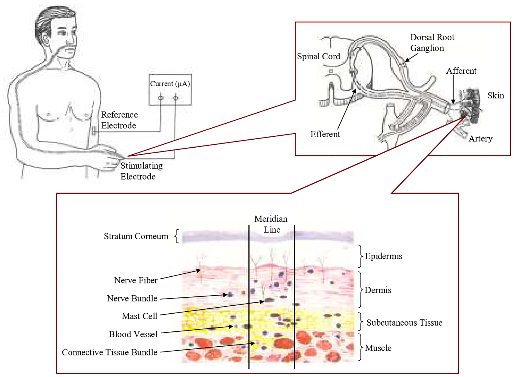 Fig. 2.